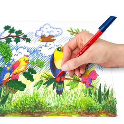 Kleurstift Staedtler Noris 326 kartonnen etui 10 kleuren