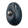 Muis Kensington Trackball EQ TB550 foto