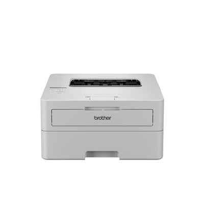 Printer Laser Brother HL-L2865DW
