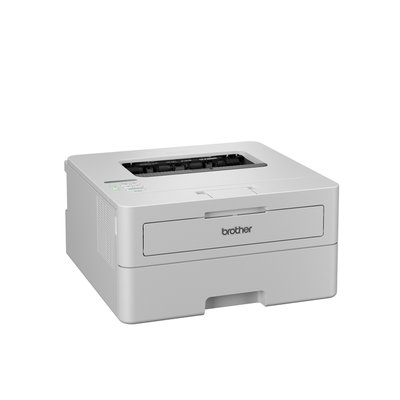 Printer Laser Brother HL-L2865DW