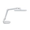 Lampe de travail MAULintro LED dimmable sur socle blanc Photo
