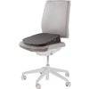 Coussin d'assise Fellowes Breyta Wig noir Photo