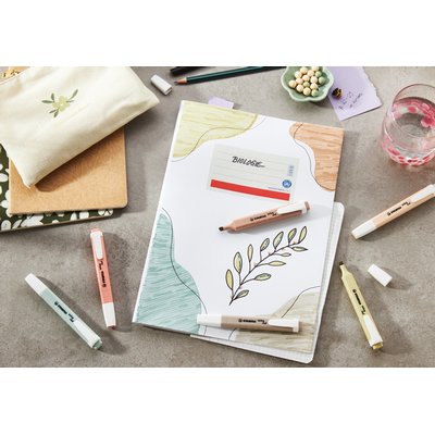 Surligneur STABILO Swing Cool NatureCOLORS assorti 6 pièces