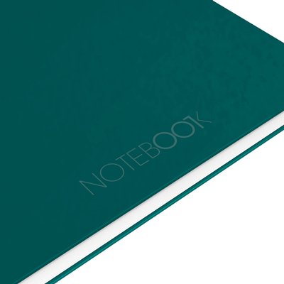 Cahier à spirale Oxford International Notebook A4+ ligné 160 pages vert