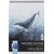 Bloc aquarelle Oxford Watercolour A5 20 feuilles 300g spirale