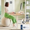 Actieve zitbal Leitz Ergo 75cm anti-rol design foto