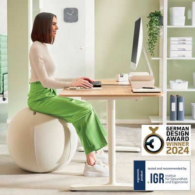 Actieve zitbal Leitz Ergo 75cm anti-rol design