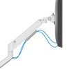 Support 1 écran Neomounts NEXT Slim 35 inch blanc Photo