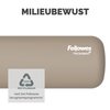 Polssteun Fellowes Breyta palm zand foto