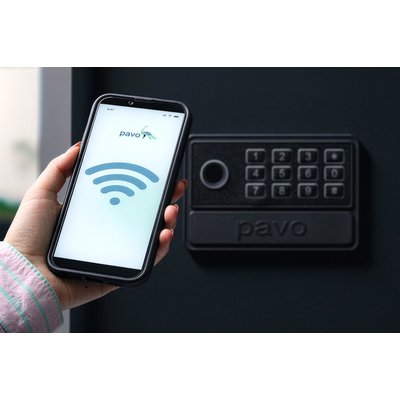 Sleutelkast Pavo High security Smart 50 haken 550x380x100mm