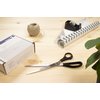 Ciseaux Westcott 260mm inox manche plastique Photo