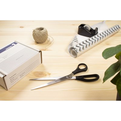 Ciseaux Westcott 260mm inox manche plastique