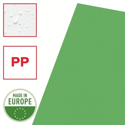 Pochette modèle L Esselte Standard A4 PP 0,11mm vert 100 pièces