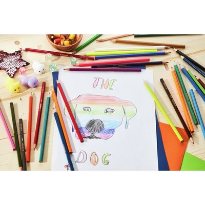 Kleurpotloden STABILO 979 color assorti kartonnen etui à 12 stuks