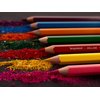 Crayon de couleur Bruynzeel Kids set 12 couleurs Photo